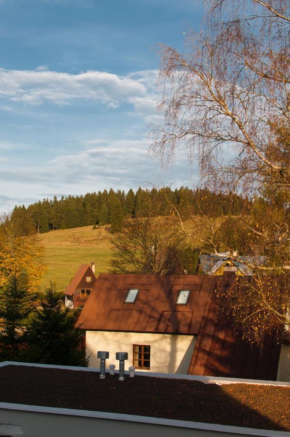 Apartman U Zlate Brizy Krusne Hory - Erzgebirge Horni Blatna Luaran gambar